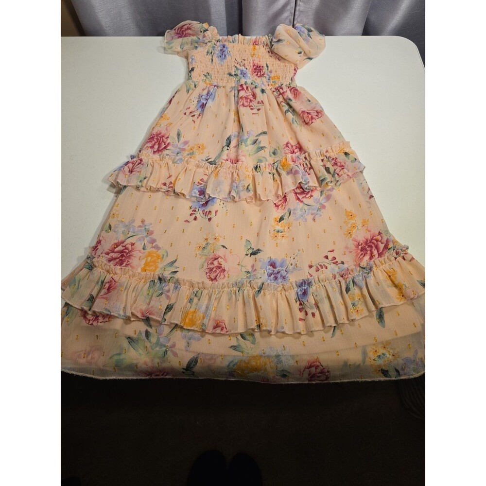 Rare Editions Girls Chiffon Maxi Dress, size: XS. Color: Floral Blush.